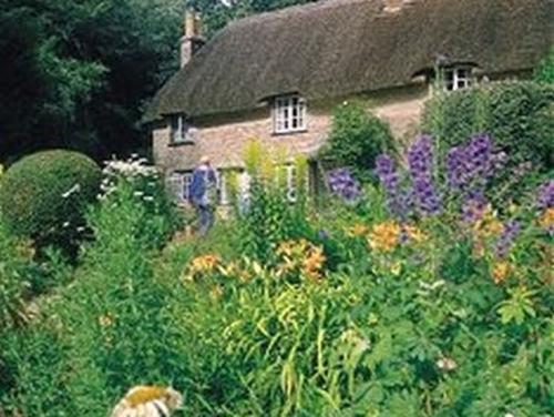 Bramlies Bed & Breakfast Dorchester Exterior photo